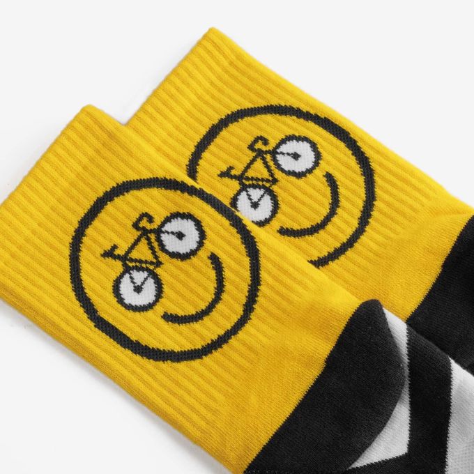 Шкарпетки Dodo Socks Rover