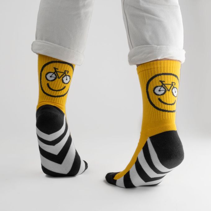Шкарпетки Dodo Socks Rover