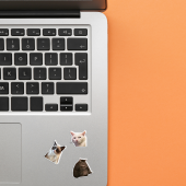 Набір 3D-стікерів "Сats mood mems"