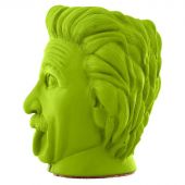 Арт-вазон "Эйнштейн" (салатовый)