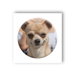 3D-стікер "Мем усмішка"