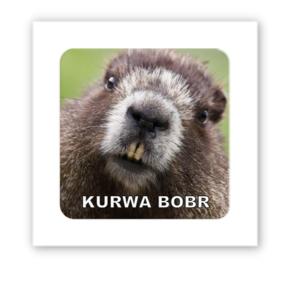 3D-стикер "Bobr"