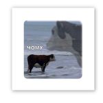 3D-стикер "Diva"