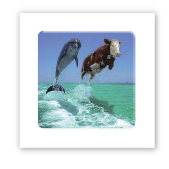 3D-стикер "Два Дельфина"