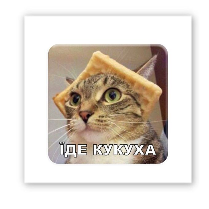 3D-стікер "Їде кукуха"