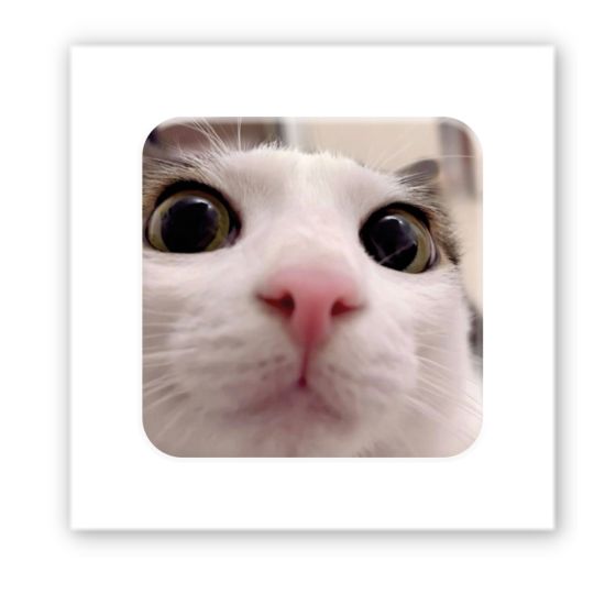 3D-стикер  "Я все вижу"