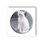 3D-стікер "Мем стрес"