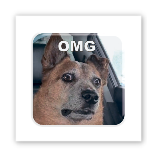 3D-стикер "Пес OMG"
