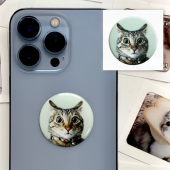 3D-стикер " Мем удивленный кот"