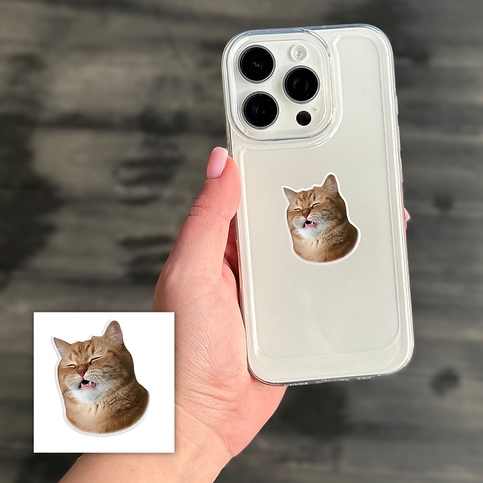3D-стікер "Funny Cat"