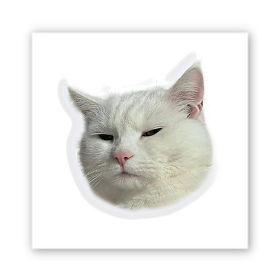 3D-стикер "Serious Cat"