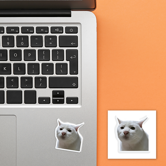 3D-стікер "Cat Meme"