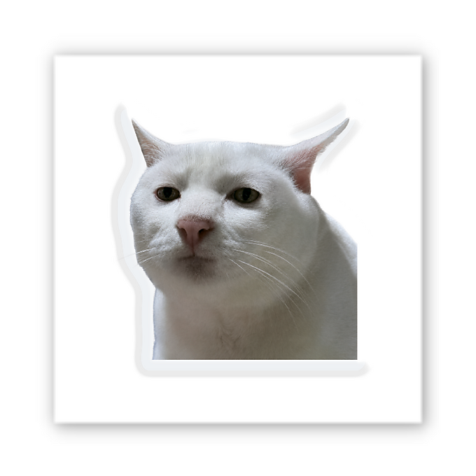 3D-стікер "Cat Meme"