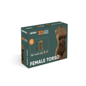 Картонний 3Д пазл "FEMALE TORSO"