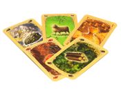 Колонизаторы. Быстрая Карточная Игра (Catan. Quick version)