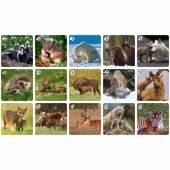 Мі-Мі-Мемо Дикі тварини