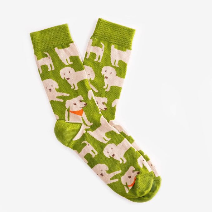 Шкарпетки Dodo Socks Brovko