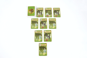 Виноделие (Viticulture) Виноделие (Viticulture)