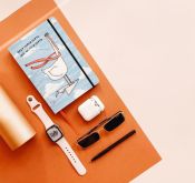 Планер "Гусь Організований"