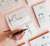 Планер "Гусь Організований"