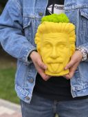 Арт-вазон "Эйнштейн" (желтый)