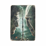 Деревянный постер "Harry Potter. Гарри Поттер и Волдеморт"