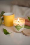 Соевая свеча "Зеленый чай и долгий путь"