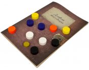 Робінзон Крузо: В пошуках загубленого міста