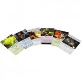 Ужас Аркхэма Третья редакция: Во мраке ночи