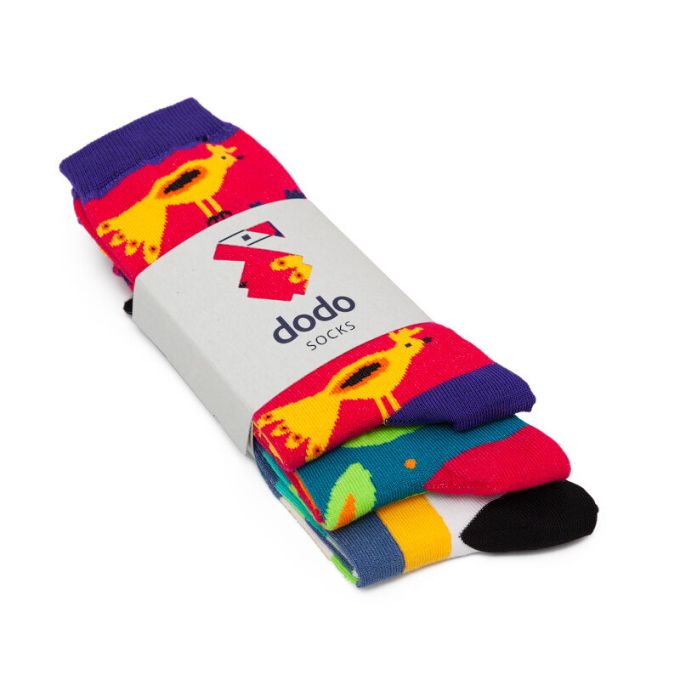 Шкарпетки Dodo Socks Набір Artista