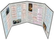 Відьмак. Настільна рольова гра: Правителі та землі