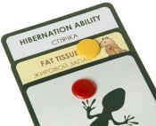 Еволюція (Evolution)