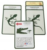 Еволюція (Evolution)