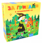 За Грибами в Заколдованный Лес