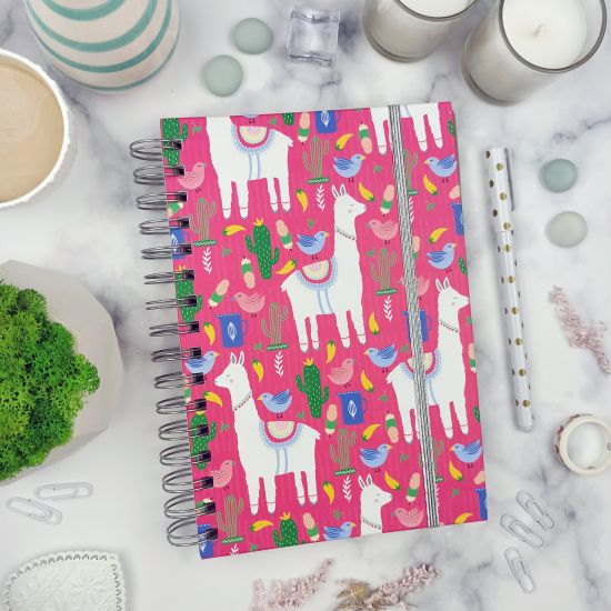 Недатированный планер "Ламы"