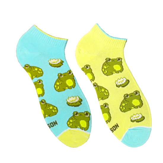 Шкарпетки Дід Носкарь Короткі Жабки