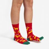 Dodo Socks Набор Holiday Box