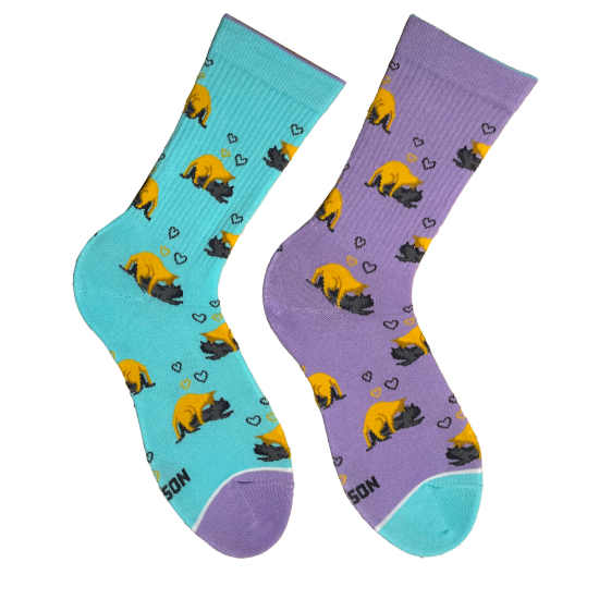 Шкарпетки Дід Носкарь Котики-коханці