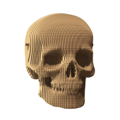 Картонний 3Д пазл "Череп"