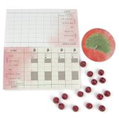 Крила: Птахи Азії (Wingspan Asia)