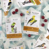 Крила: Птахи Азії (Wingspan Asia)