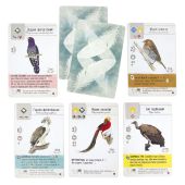 Крила: Птахи Азії (Wingspan Asia)