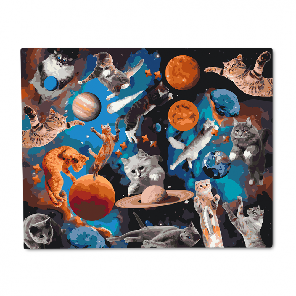 Картина за номерами «Котики у вiдкритому космосi»