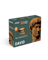 Картонний 3Д пазл "David"
