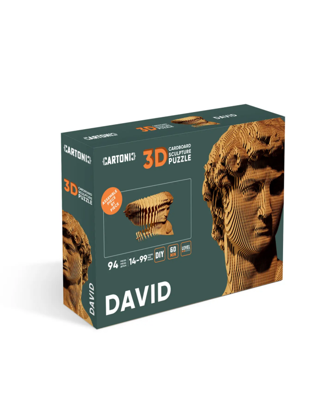 Картонний 3Д пазл "David"