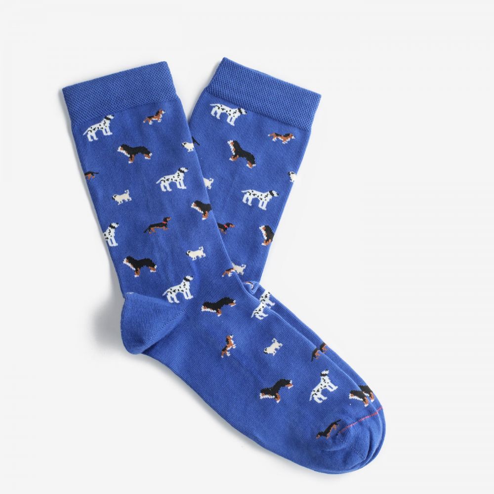 Шкарпетки Dodo Socks Собаки