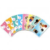 Kitty Paw. Котяча лапка