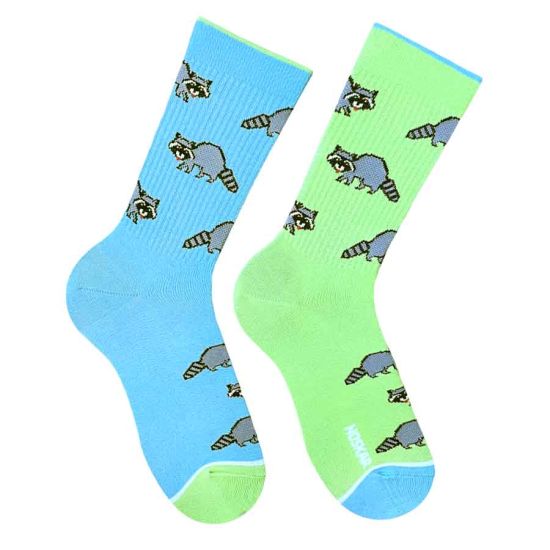 Носки Дед Носкарь Енот-Полоскун