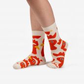 Dodo Socks Набір Evolution