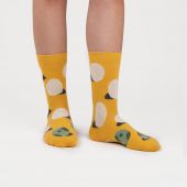 Dodo Socks Набір Evolution